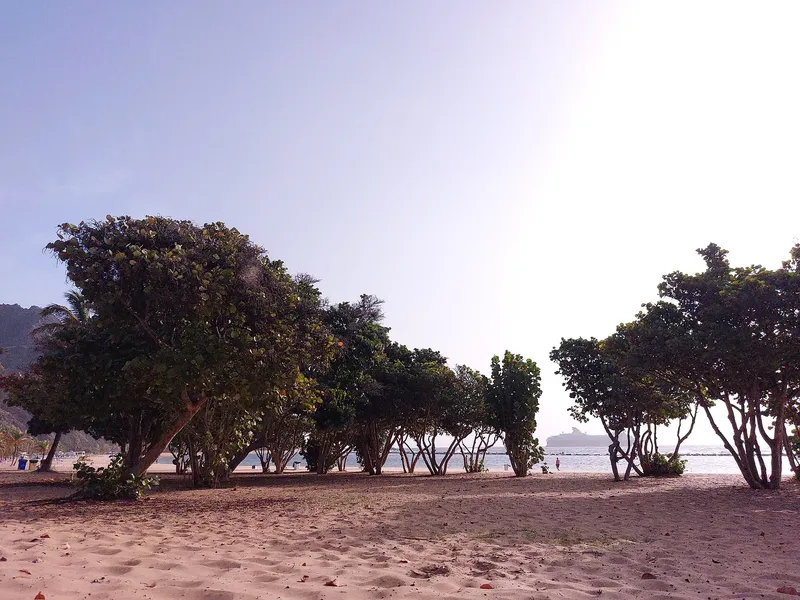 Playa de Las Teresitas