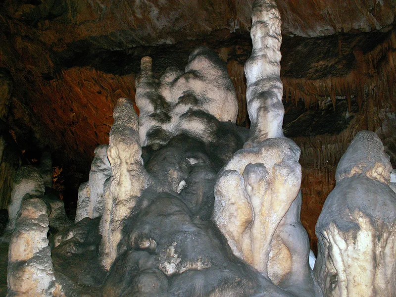 Saeva dupka cave