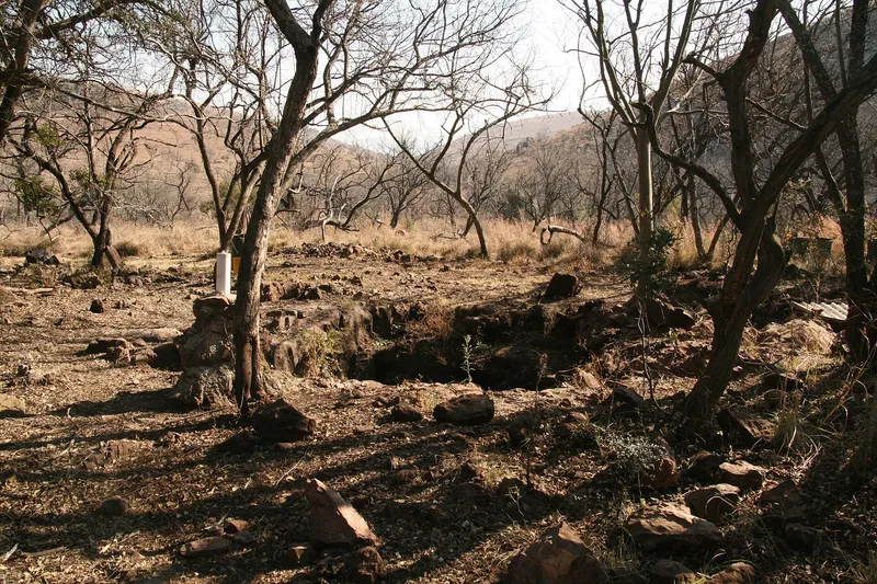 Malapa Fossil Site, Cradle of Humankind