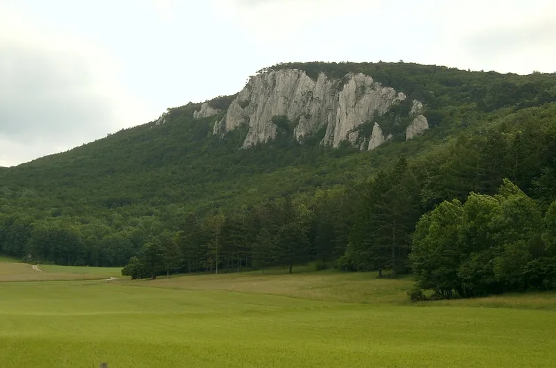 Vienna Woods
