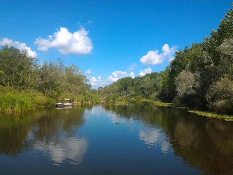 Acarlar Floodplain Forest