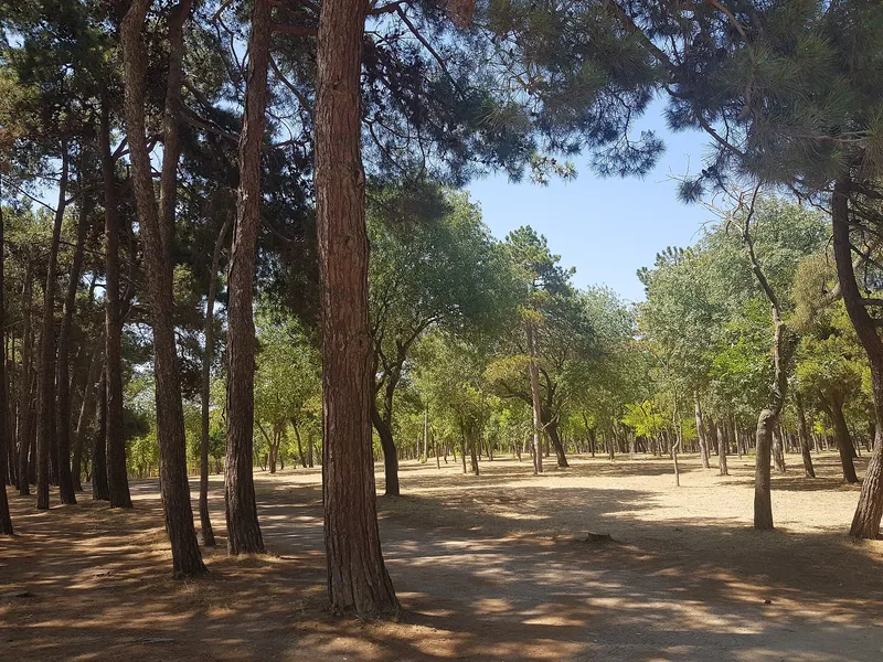 Florya Atatürk Forest