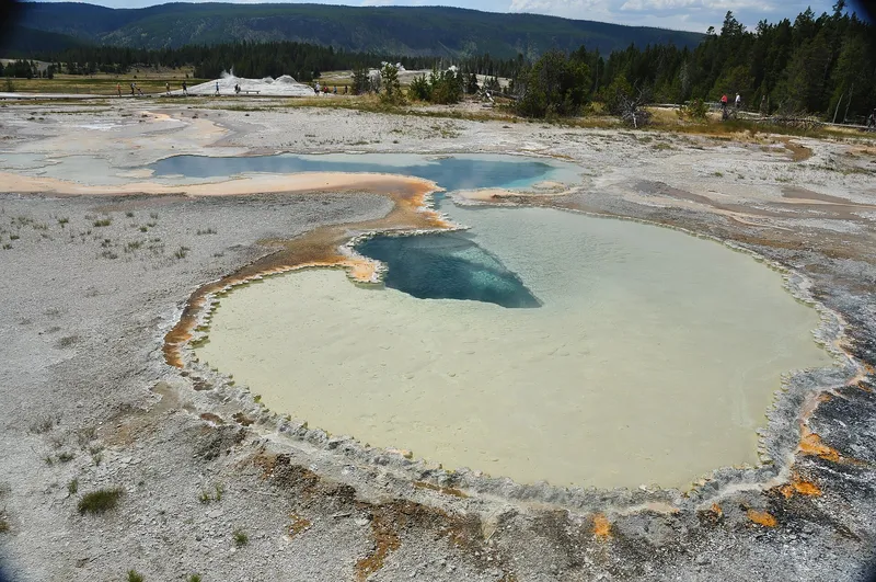 Doublet Pool