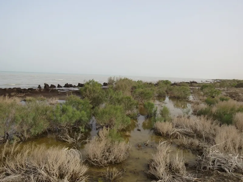 Sarygamysh Lake