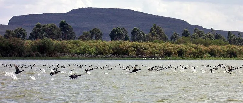 Lake Naivasha