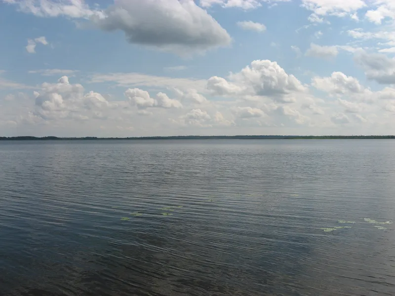 Seliger