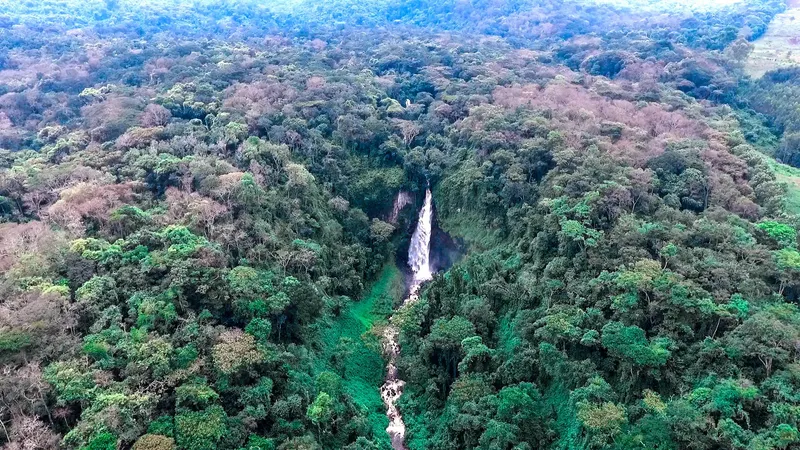 Kahuzi-Biéga National Park