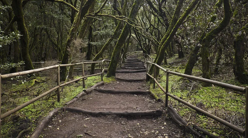 Garajonay National Park