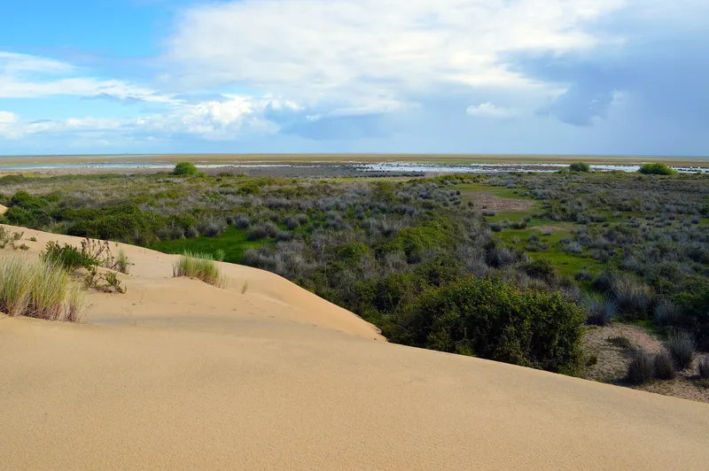 Doñana National Park