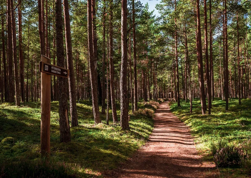Slītere National Park