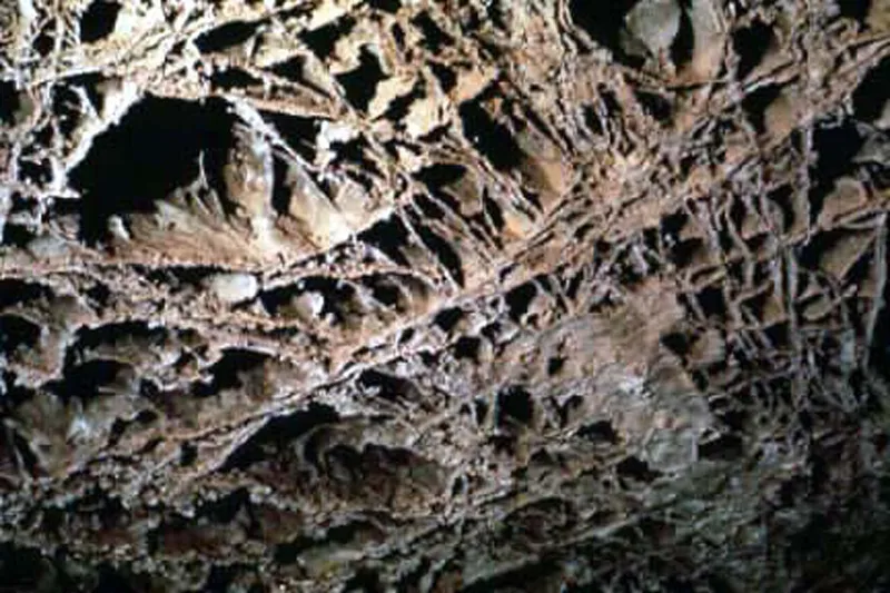 Wind Cave Ulusal Parkı