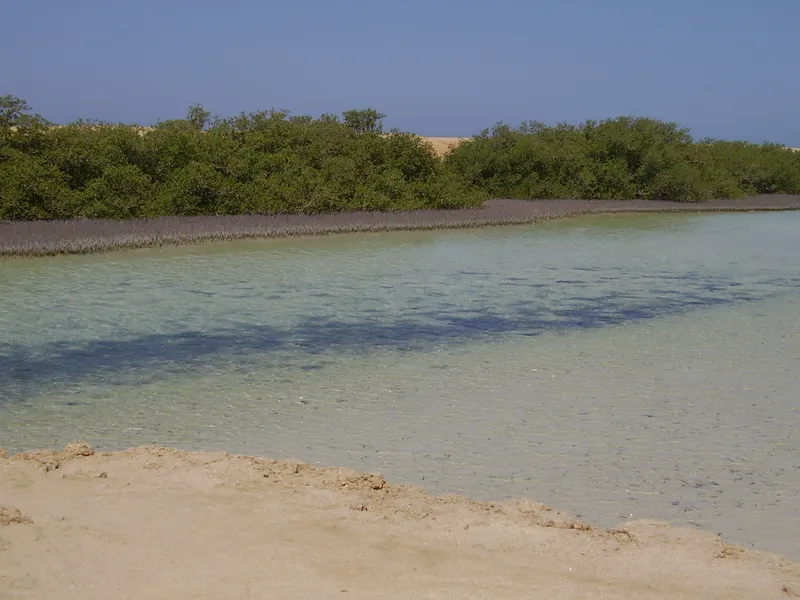 Ras Muhammad National Park