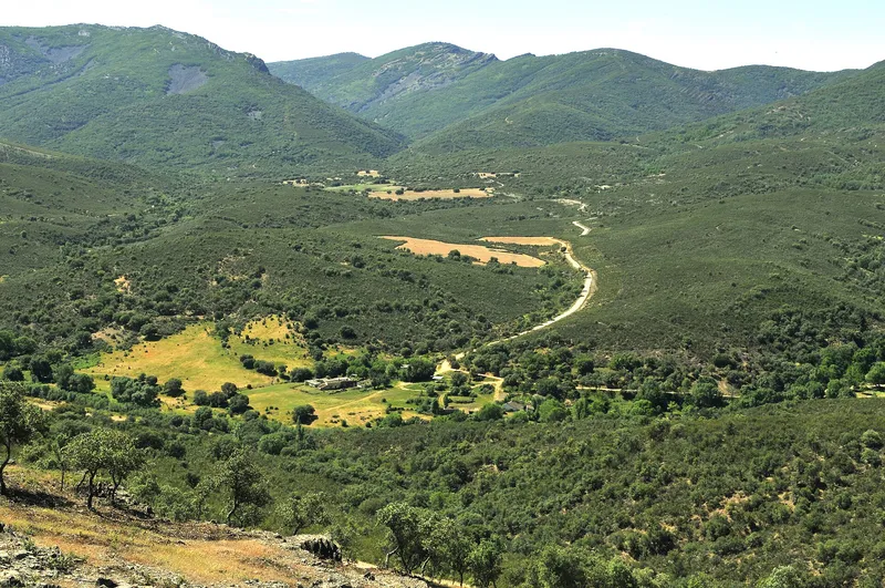 Cabañeros National Park