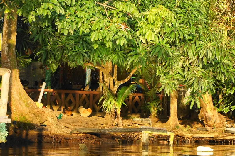Corcovado National Park