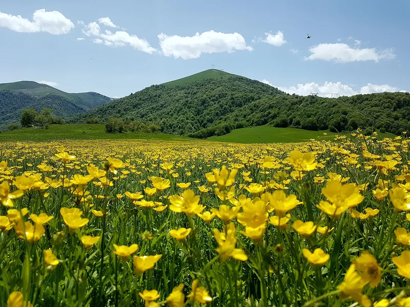 Dilijan National Park