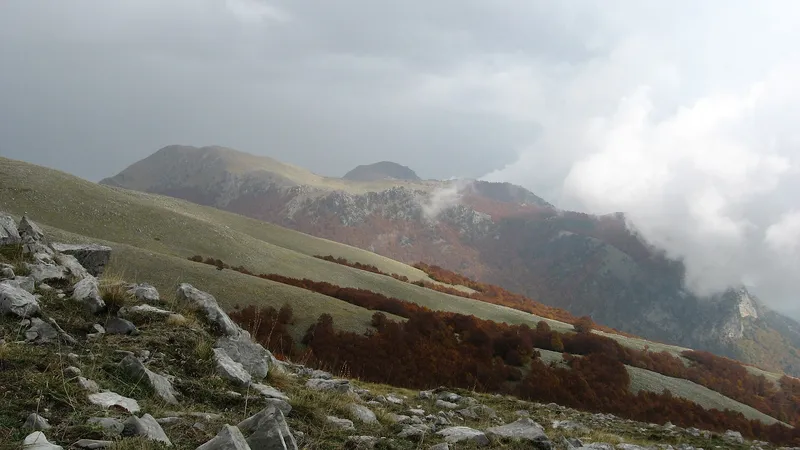 Pollino National Park