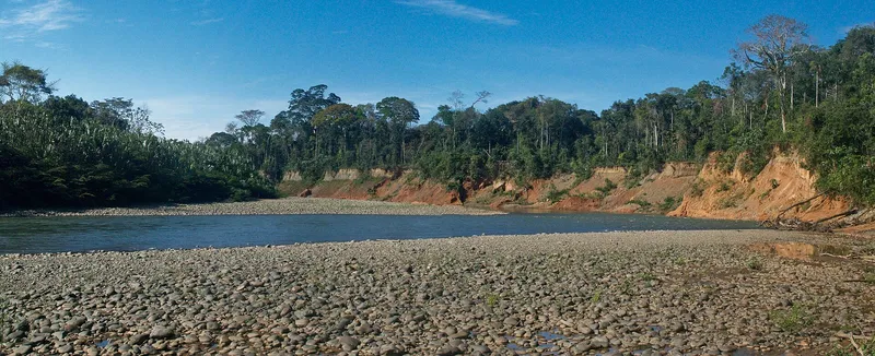 Madidi National Park and Integrated Management Natural Area