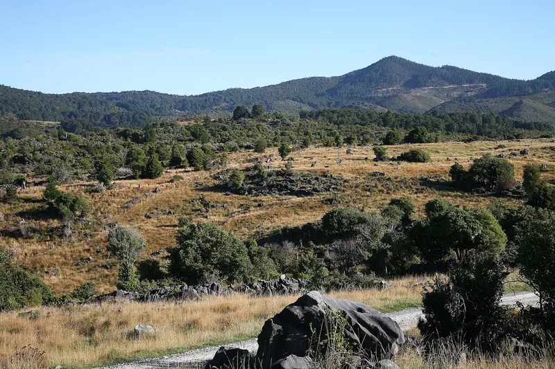 Kahurangi Millî Parkı