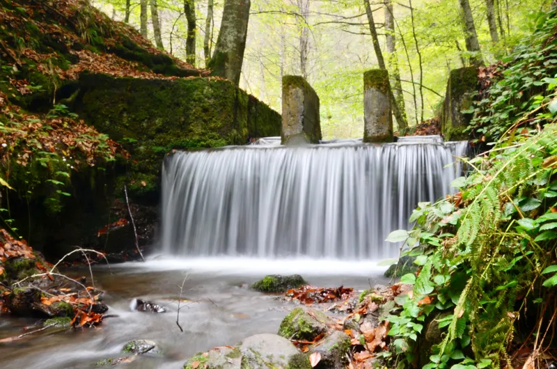 Yedigöller National Park