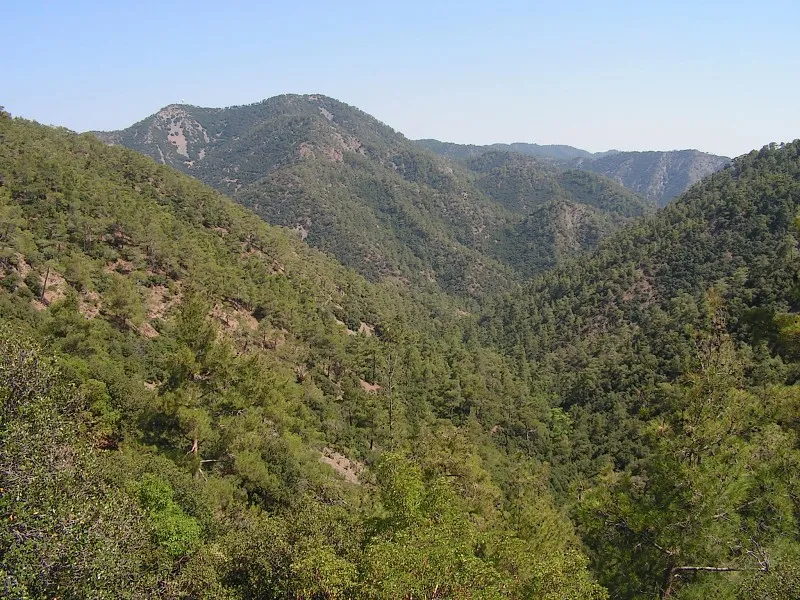 Olimpos Tepesi