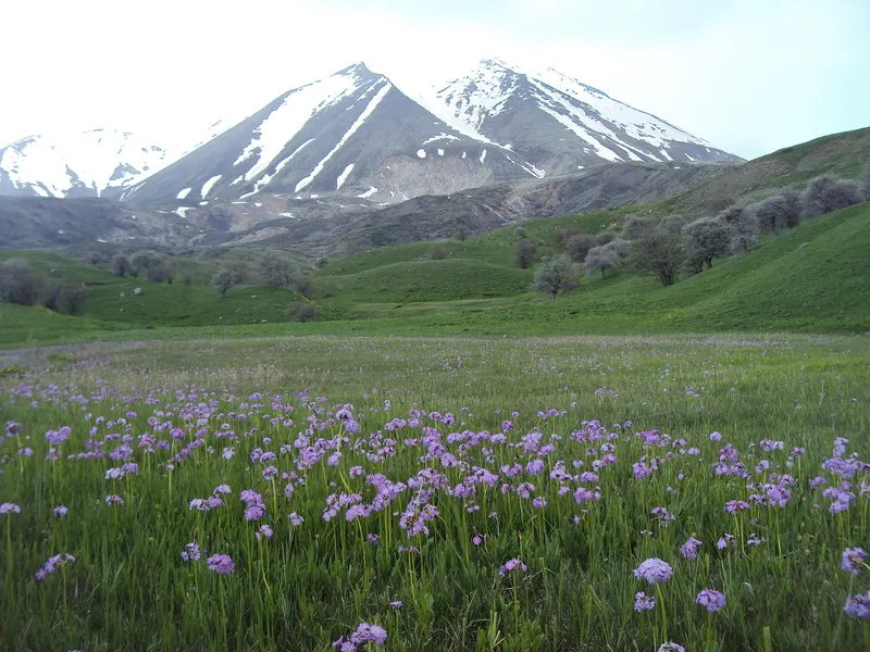 Aras Mountains