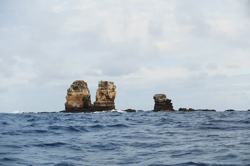 Darwin's Arch