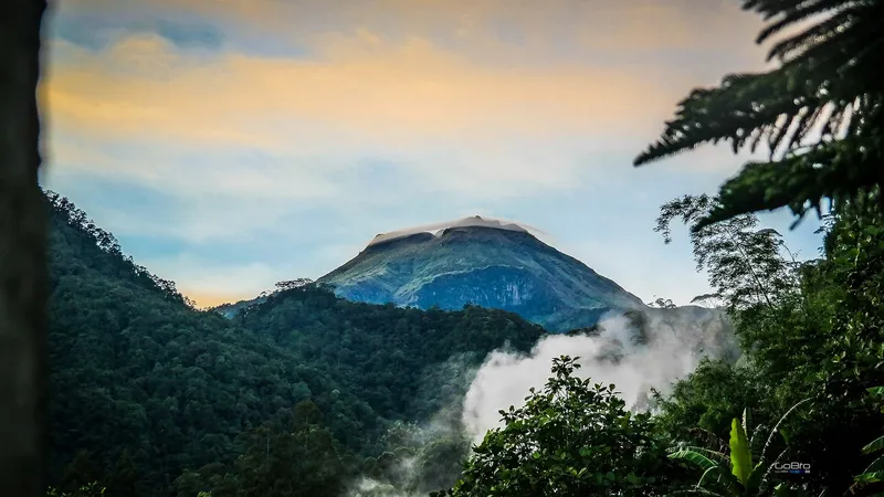 Mount Apo