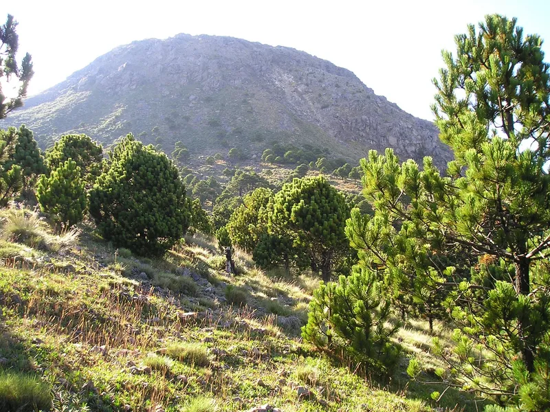 Volcán Tajumulco