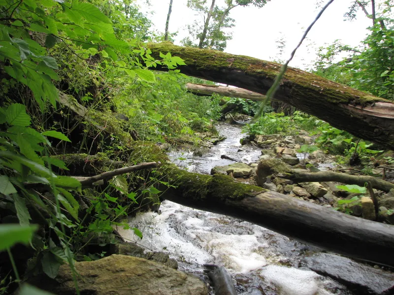 Valaste Waterfall